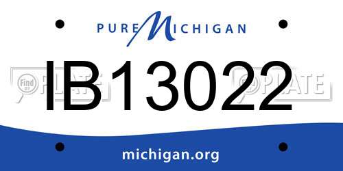 IB13022 Michigan License Plate