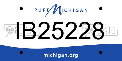 IB25228 Michigan License Plate