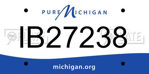 IB27238 Michigan License Plate