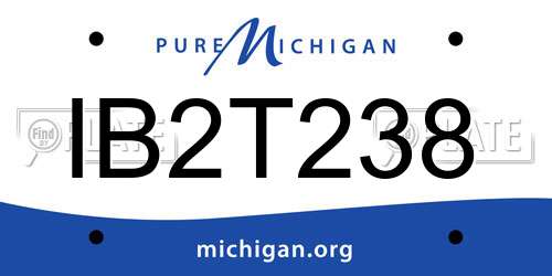 IB2T238 Michigan License Plate