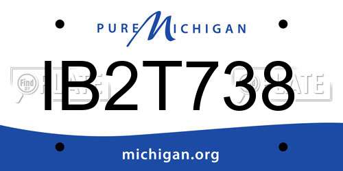 IB2T738 Michigan License Plate
