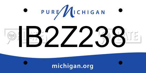 IB2Z238 Michigan License Plate