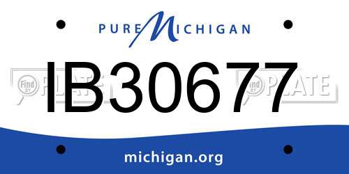 IB30677 Michigan License Plate
