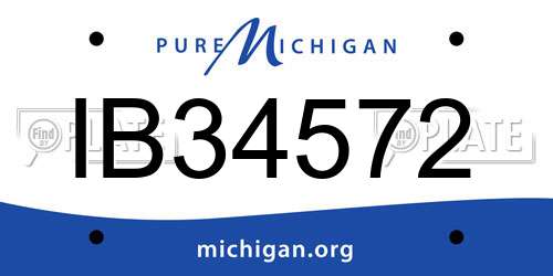 IB34572 Michigan License Plate
