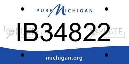IB34822 Michigan License Plate