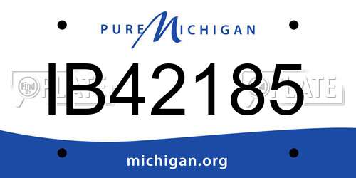 IB42185 Michigan License Plate