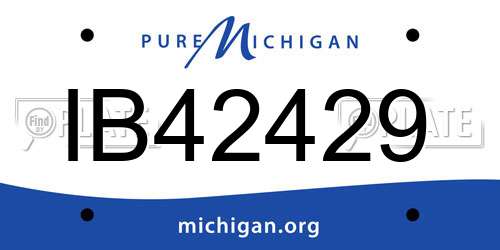 IB42429 Michigan License Plate