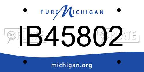 IB45802 Michigan License Plate
