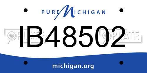 IB48502 Michigan License Plate