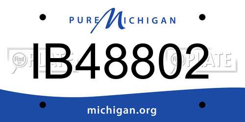 IB48802 Michigan License Plate