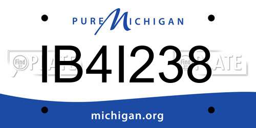 IB4I238 Michigan License Plate