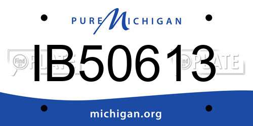IB50613 Michigan License Plate