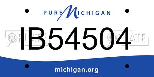 IB54504 Michigan License Plate