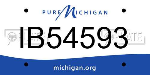 IB54593 Michigan License Plate