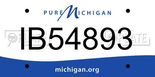 IB54893 Michigan License Plate