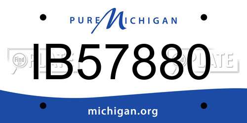 IB57880 Michigan License Plate