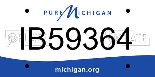 IB59364 Michigan License Plate