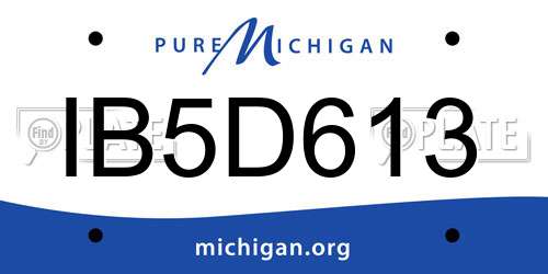 IB5D613 Michigan License Plate