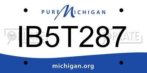 IB5T287 Michigan License Plate
