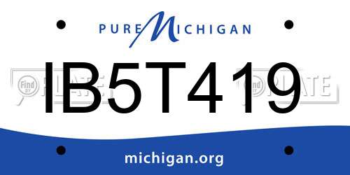 IB5T419 Michigan License Plate