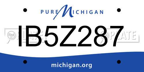 IB5Z287 Michigan License Plate