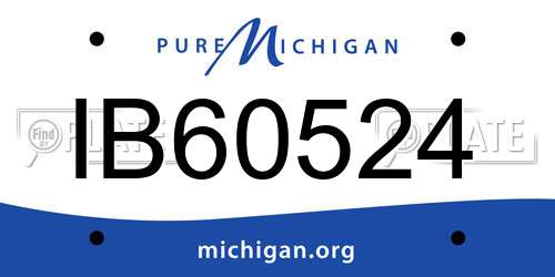 IB60524 Michigan License Plate