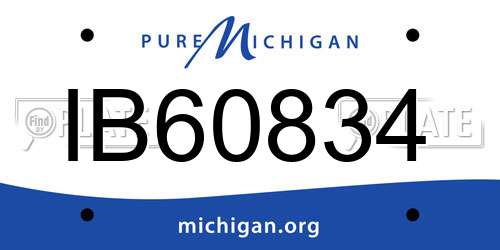 IB60834 Michigan License Plate