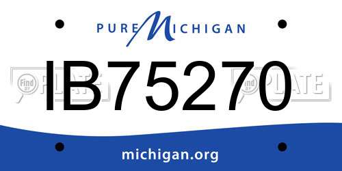 IB75270 Michigan License Plate