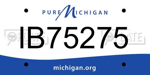 IB75275 Michigan License Plate