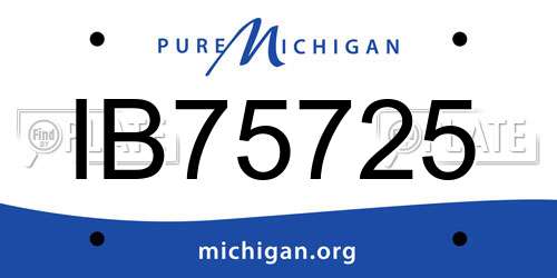 IB75725 Michigan License Plate