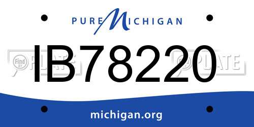 IB78220 Michigan License Plate