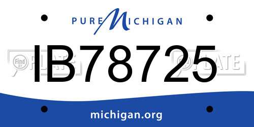 IB78725 Michigan License Plate