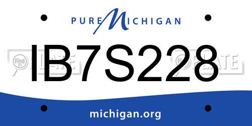 IB7S228 Michigan License Plate