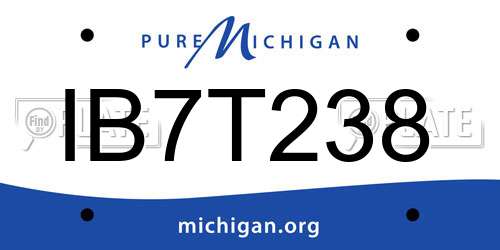 IB7T238 Michigan License Plate