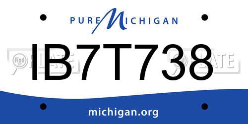 IB7T738 Michigan License Plate
