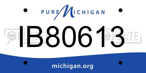 IB80613 Michigan License Plate