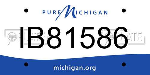 IB81586 Michigan License Plate