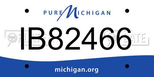 IB82466 Michigan License Plate