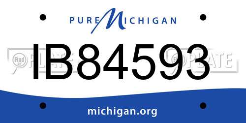 IB84593 Michigan License Plate