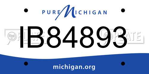 IB84893 Michigan License Plate