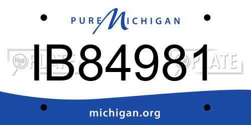 IB84981 Michigan License Plate