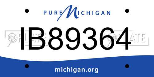 IB89364 Michigan License Plate