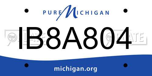 IB8A804 Michigan License Plate