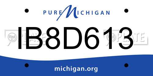IB8D613 Michigan License Plate