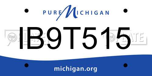 IB9T515 Michigan License Plate