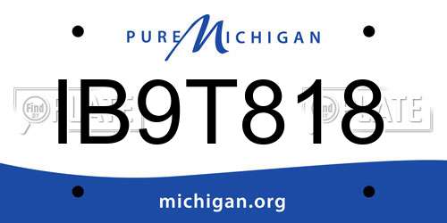 IB9T818 Michigan License Plate