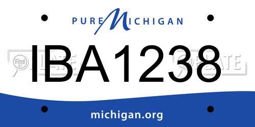 IBA1238 Michigan License Plate