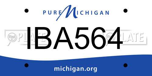 IBA564 Michigan License Plate