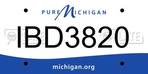 IBD3820 Michigan License Plate
