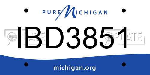 IBD3851 Michigan License Plate